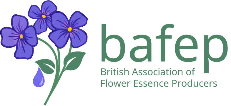 BAFEP