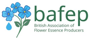 BAFEP